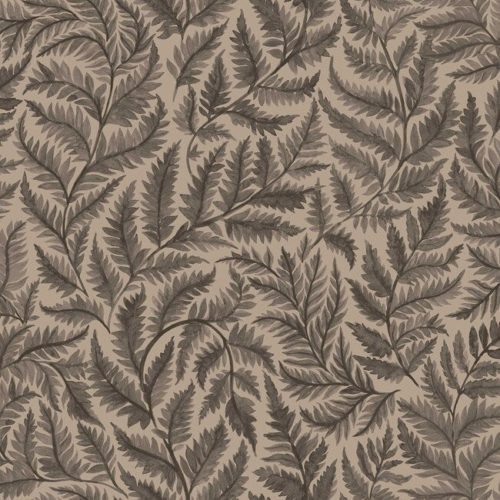Ferns 7793